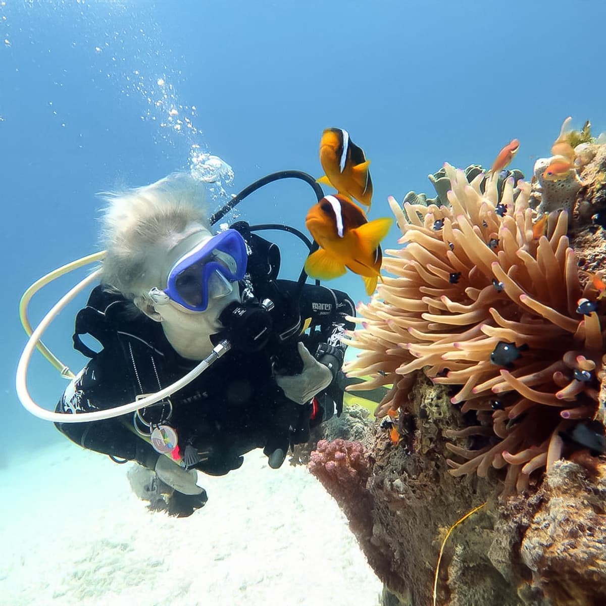 Your Ultimate Beginner's Guide to Scuba Diving Adventures in Al Fujairah