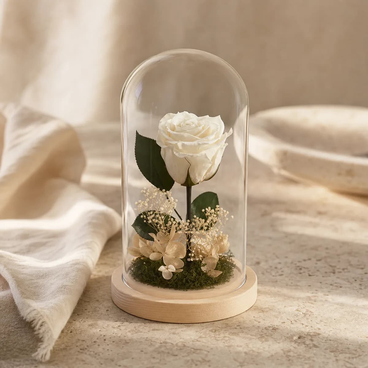 Preserved Bloom Dome